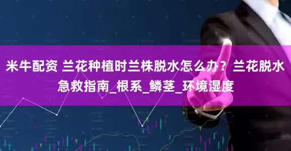 米牛配资 兰花种植时兰株脱水怎么办？兰花脱水急救指南_根系_鳞茎_环境湿度