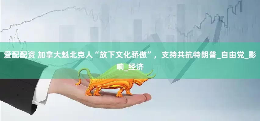 爱配配资 加拿大魁北克人“放下文化骄傲”，支持共抗特朗普_自由党_影响_经济