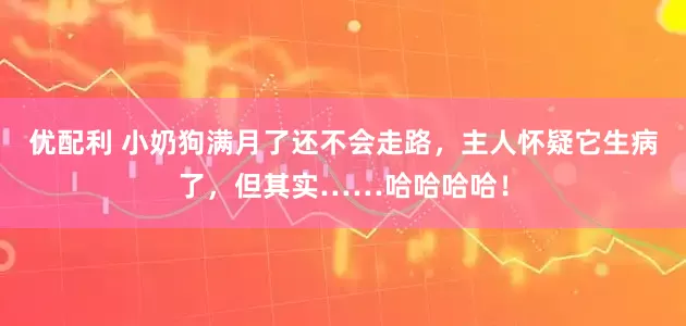 优配利 小奶狗满月了还不会走路，主人怀疑它生病了，但其实……哈哈哈哈！
