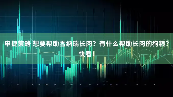 申捷策略 想要帮助雪纳瑞长肉？有什么帮助长肉的狗粮？快看！