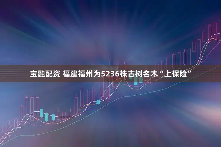 宝融配资 福建福州为5236株古树名木“上保险”