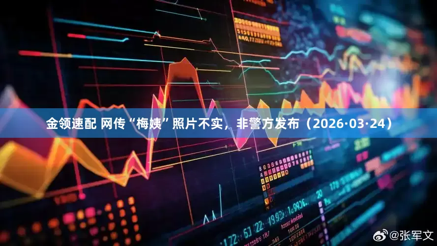 金领速配 网传“梅姨”照片不实，非警方发布（2026·03·24）